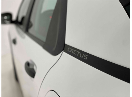 Citroen C4 Cactus Feel 1.6 Aut. 2022/2022